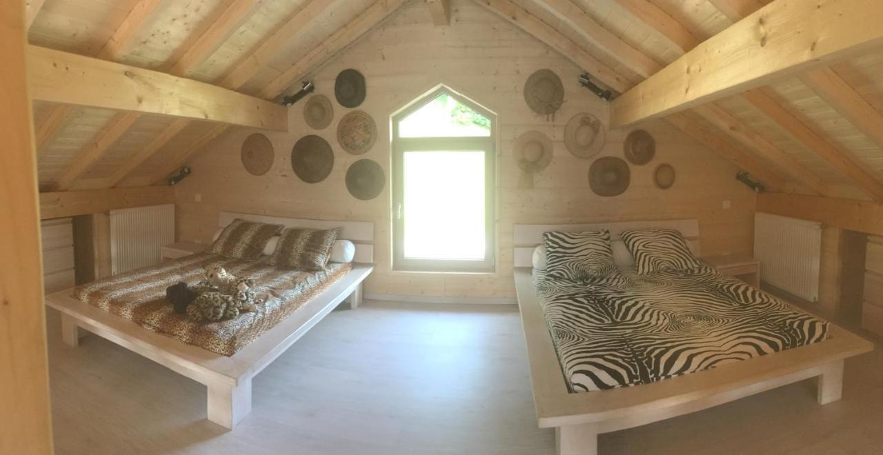 Coise-Saint-Jean-Pied-Gauthier Chalet A La Campagne מראה חיצוני תמונה