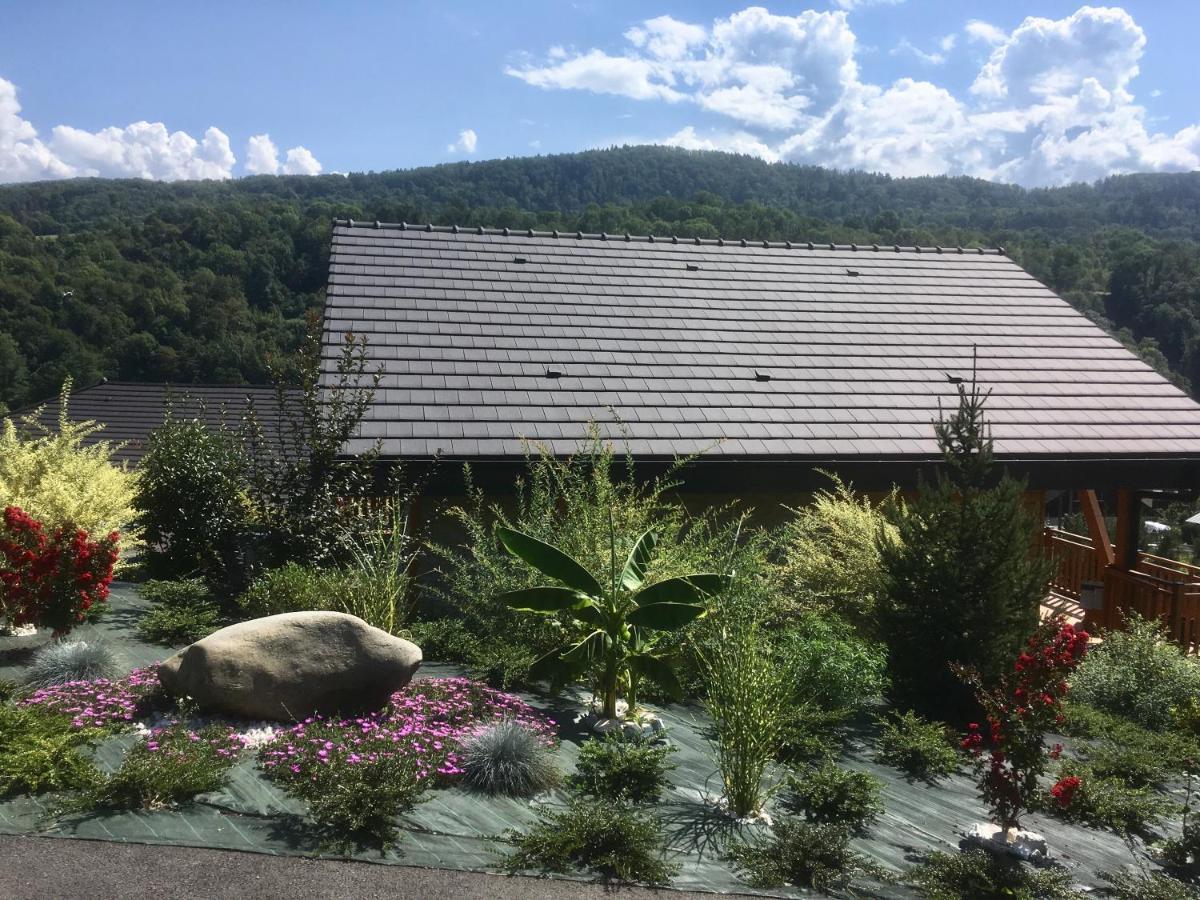 Coise-Saint-Jean-Pied-Gauthier Chalet A La Campagne מראה חיצוני תמונה